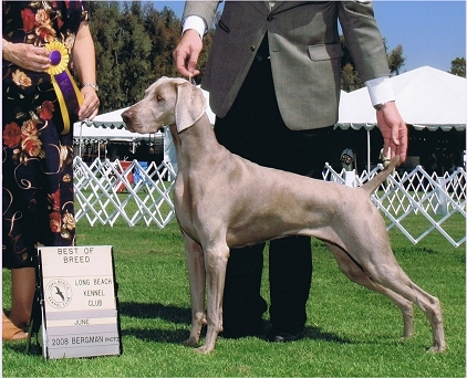 katie bob 3.jpg - 99.9 K